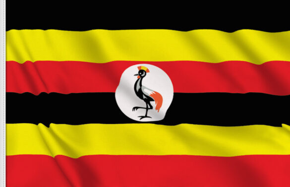 Uganda Orders Rights Groups to Halt Operations Before Election