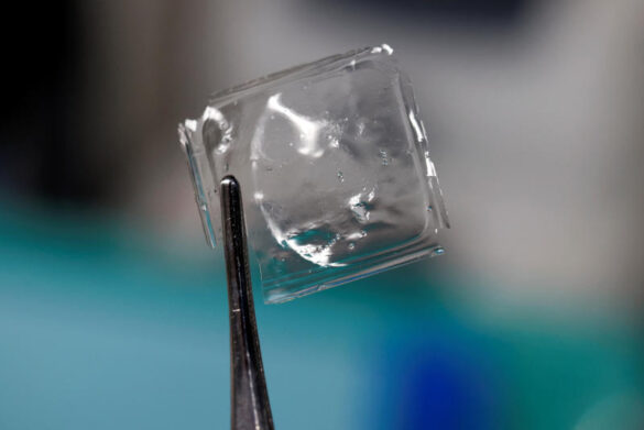 Plastic That Dissolves in Seawater Within Hours