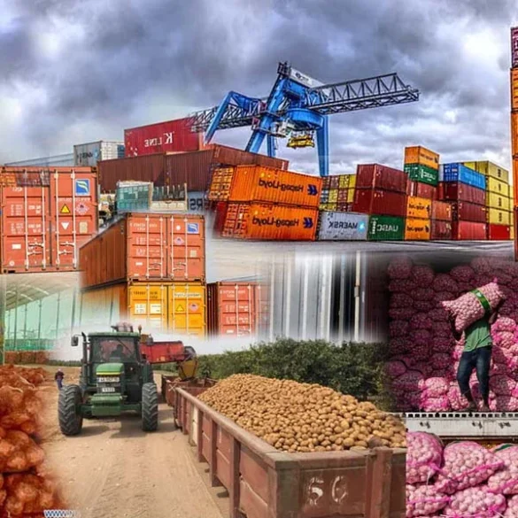 UK Announces Reforms to Boost Africa Trade under New DCTS