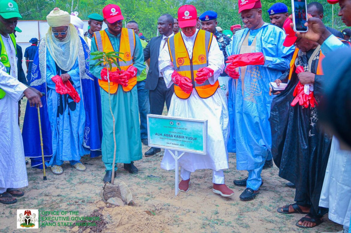 Kano Launches 5.5m Tree Initiative to Fight Desertification