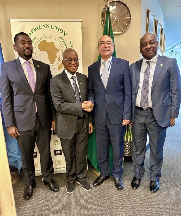 IMO Council Bid: Nigeria Seeks International Support