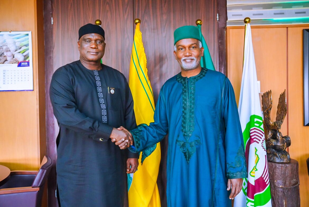 Nigeria Reaffirms Support for Gambia Ahead Joint Commission