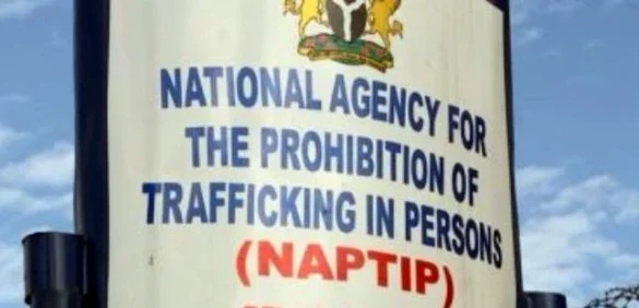 NAPTIP to Intensify Operations to Stop Human Trafficking