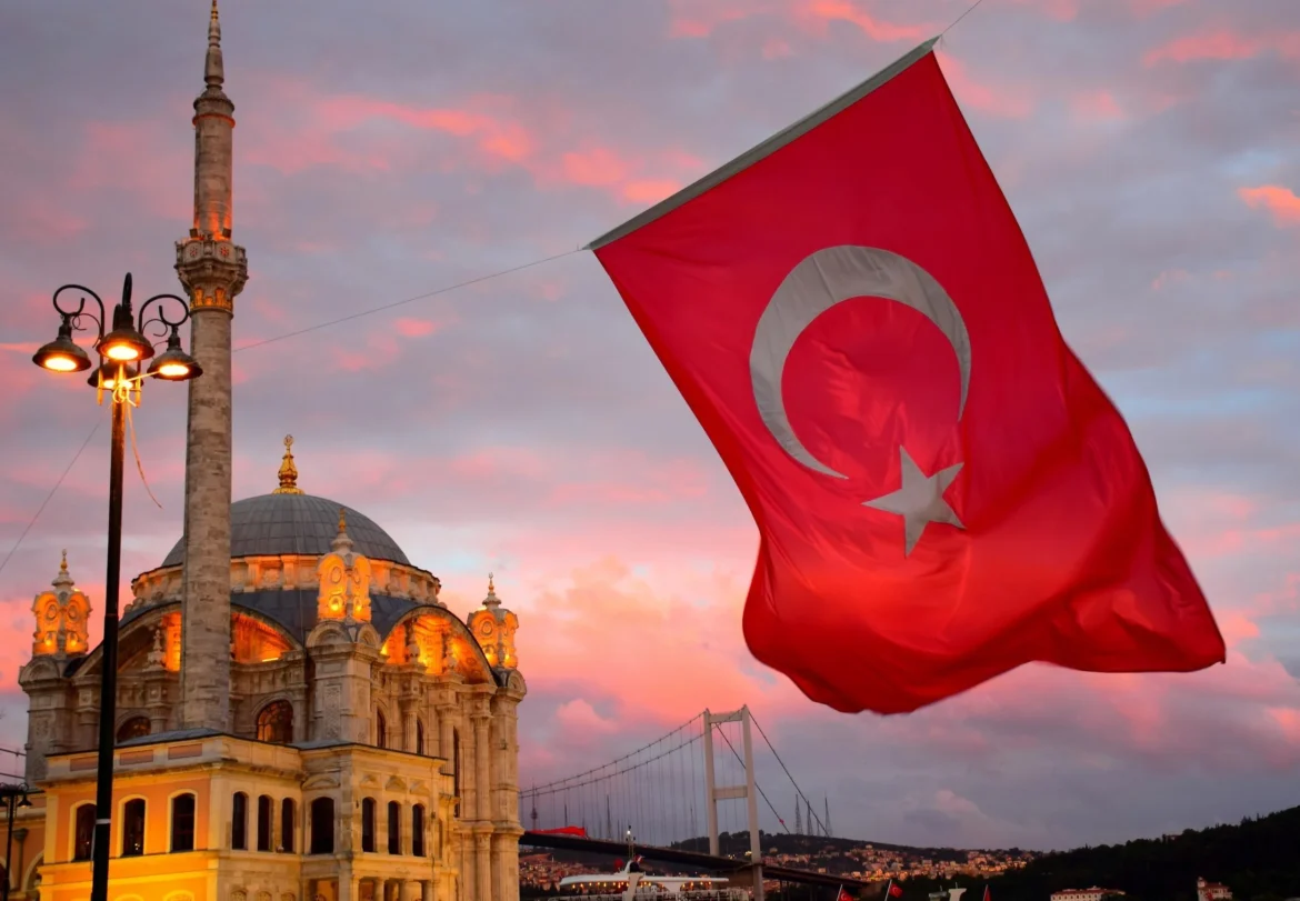 Climate Change: Türkiye Unveils New Global Electricity Expansion Targets
